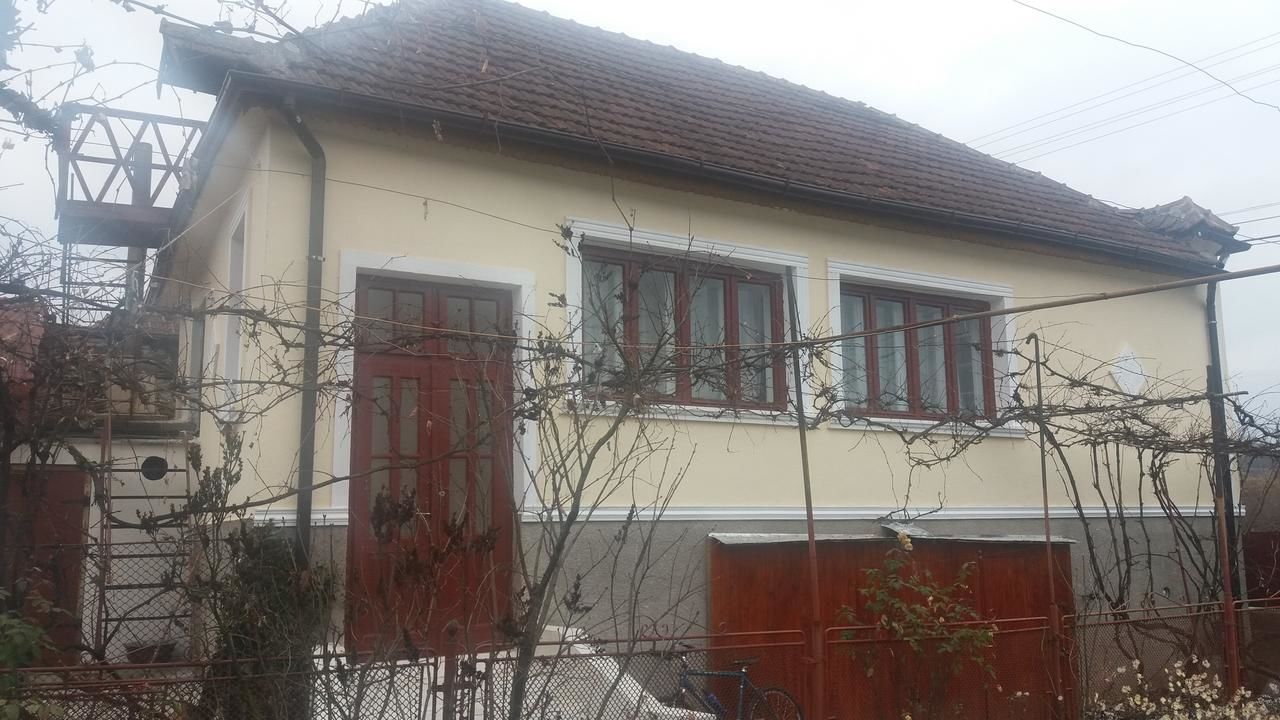 Загородные дома Casa lui Craciun Teliucu Inferior-10
