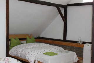 Загородные дома Casa lui Craciun Teliucu Inferior Улучшенный двухместный номер с 1 кроватью или 2 отдельными кроватями-14