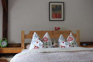 Загородные дома Casa lui Craciun Teliucu Inferior Стандартный двухместный номер с 1 кроватью или 2 отдельными кроватями-14